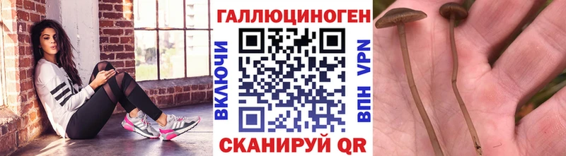 Псилоцибиновые грибы ЛСД  Инсар 